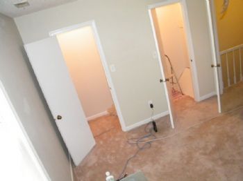 freespirit1 profile photo