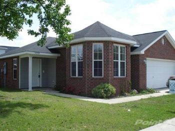 ptchick profile photo