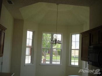 ptchick profile photo