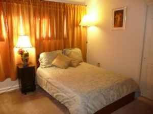 zar123 profile photo