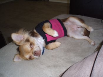 kristians88 profile photo