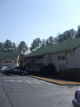 dunja82 profile photo