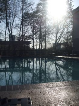 dunja82 profile photo