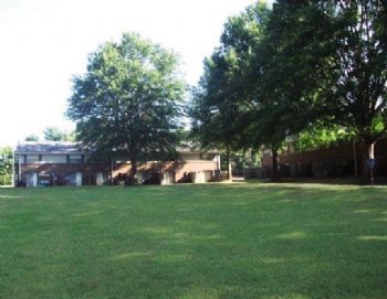 csandel profile photo