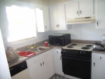 csandel profile photo