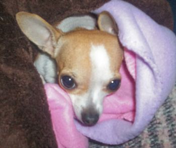 motherlynch profile photo