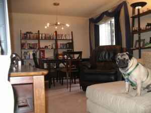 serfbooks profile photo