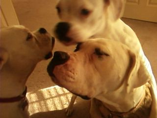 CHRISTINAA profile photo