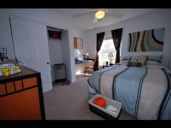 tasharahala profile photo