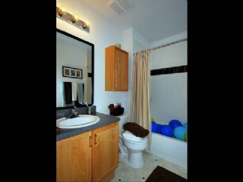 tasharahala profile photo