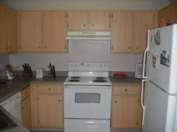 Shadoe profile photo