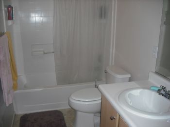 Shadoe profile photo