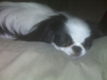 HolliDazed profile photo