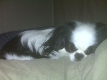 HolliDazed profile photo