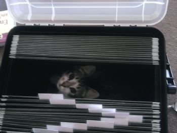 catm753 profile photo