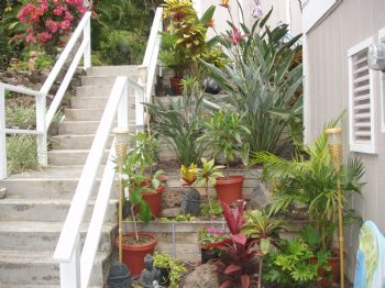 beachtypes profile photo