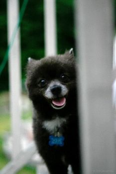 adakosova profile photo