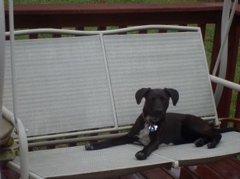 MelodyZ profile photo