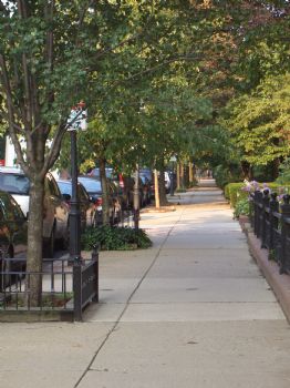 jgreenman profile photo