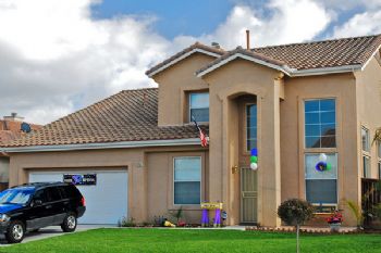 VinDanielle profile photo