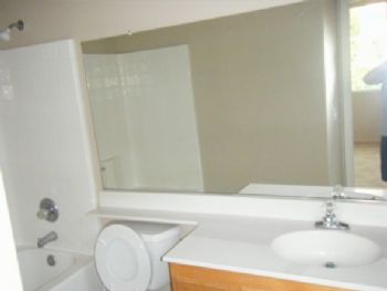 VinDanielle profile photo