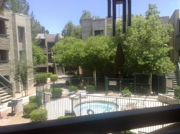 muradi profile photo