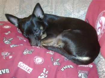 troyulooking profile photo