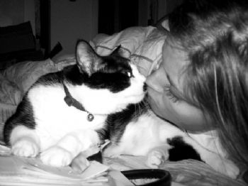 gordonc profile photo