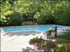 NHen333 profile photo