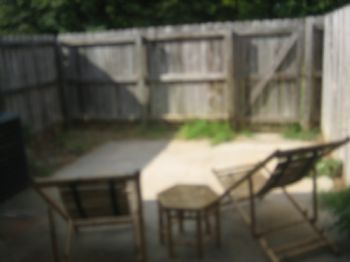 ndavis686 profile photo