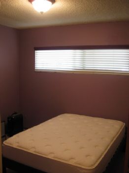 thatbo profile photo