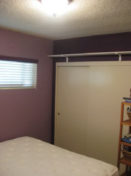 thatbo profile photo