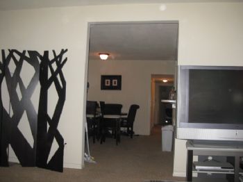 thatbo profile photo