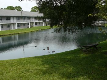 Capnjack profile photo