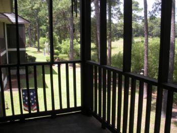 lfrance profile photo