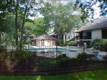 lfrance profile photo