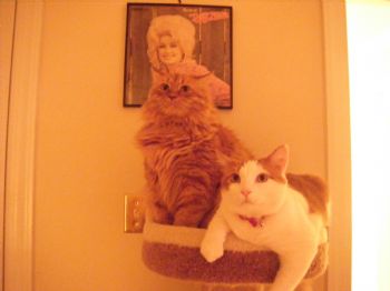 izzysophie profile photo