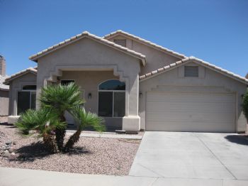 chickittee profile photo