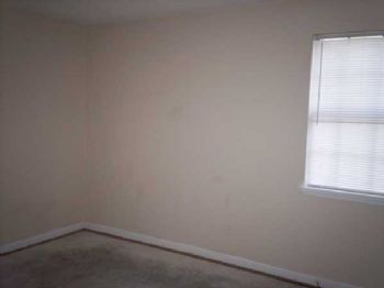 LTygress profile photo