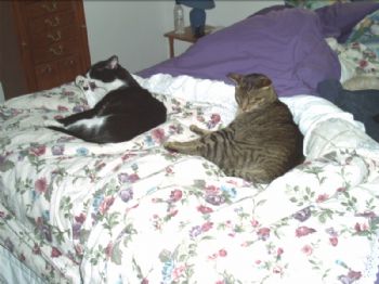 caruthes profile photo