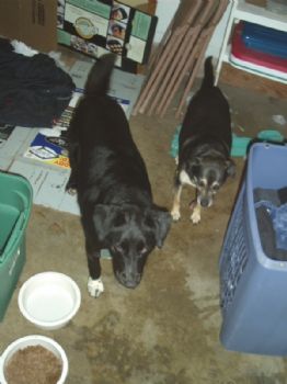 caruthes profile photo