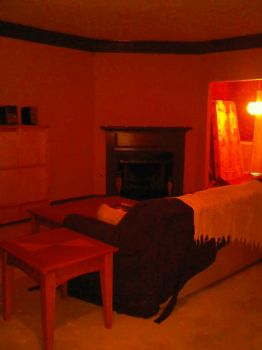 shakeima profile photo