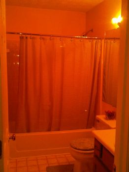 shakeima profile photo