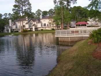 tonyinjax profile photo