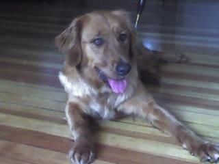 greeneyedpea profile photo