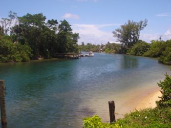 ajolie profile photo