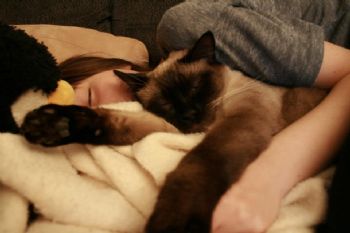 easyroomy profile photo