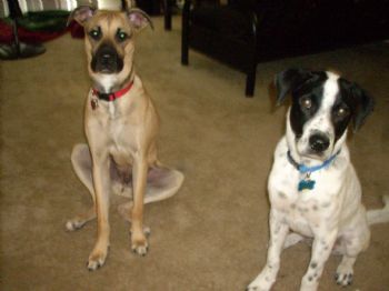 bittylynn2 profile photo