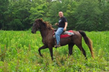 arnichols13 profile photo