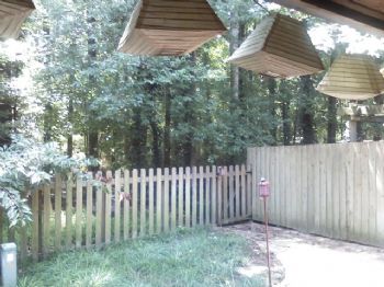 1megmeg profile photo